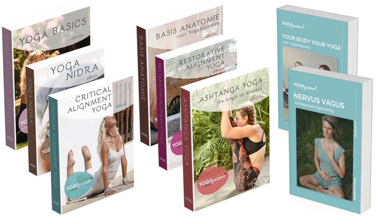 Ebook bundel RYT300 The Art of Advanced teaching