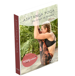 Lesboek Ashtanga Yoga