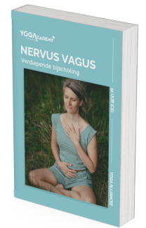 Lesboek Van Stress naar Stilte