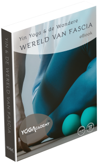 Lesboek Yin Yoga & de Wereld van Fascia