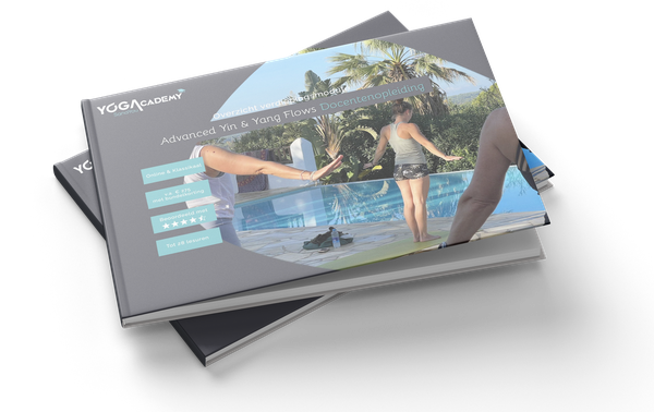 Opleidingsgids Advanced Yin & Yang Flows