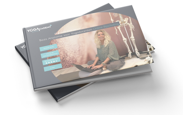 Opleidingsgids Basis Anatomie